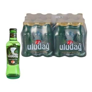 ULUDAĞ MADEN SUYU 200 ml (24 lü Koli)